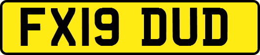 FX19DUD