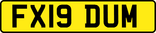 FX19DUM