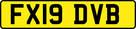 FX19DVB