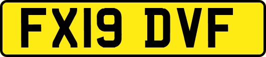 FX19DVF