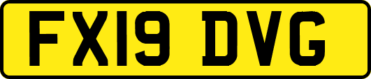 FX19DVG