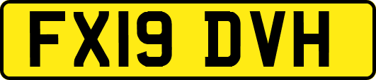 FX19DVH
