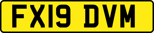 FX19DVM