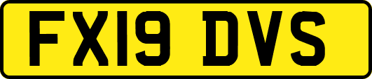 FX19DVS
