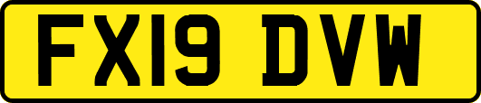 FX19DVW