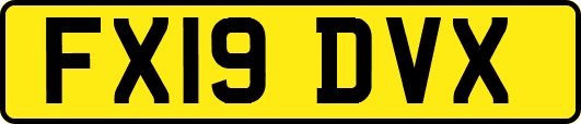 FX19DVX