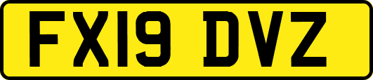 FX19DVZ