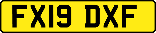 FX19DXF