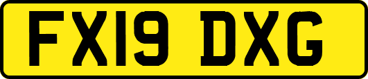 FX19DXG