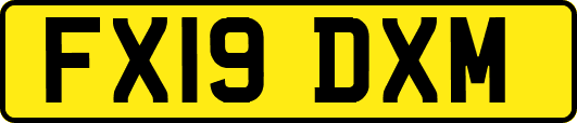 FX19DXM