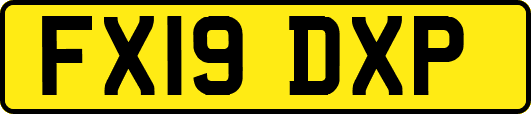 FX19DXP