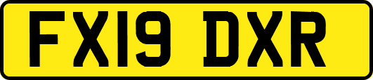 FX19DXR