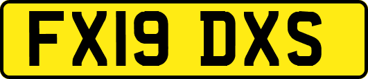 FX19DXS