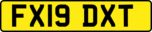FX19DXT