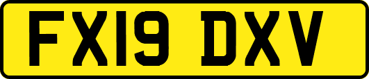 FX19DXV