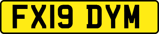 FX19DYM