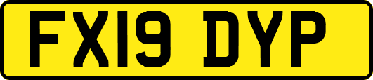 FX19DYP