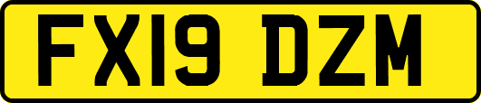 FX19DZM