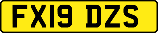 FX19DZS