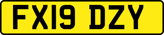 FX19DZY