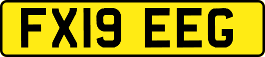 FX19EEG