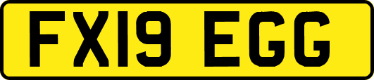 FX19EGG