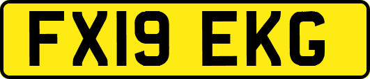 FX19EKG