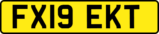 FX19EKT