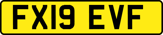 FX19EVF