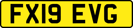FX19EVG