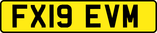 FX19EVM