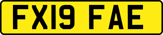 FX19FAE
