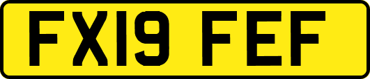 FX19FEF