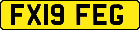 FX19FEG