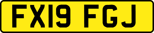 FX19FGJ