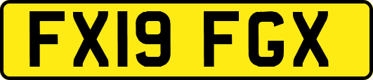 FX19FGX