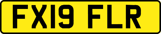 FX19FLR