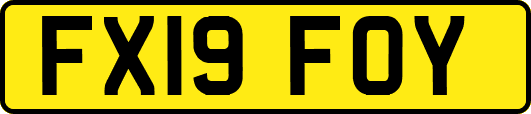 FX19FOY