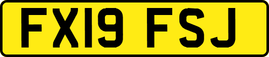 FX19FSJ