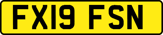 FX19FSN