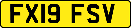 FX19FSV