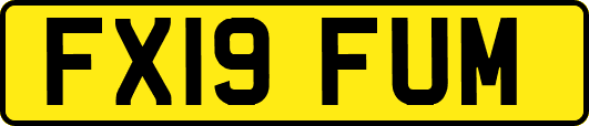 FX19FUM