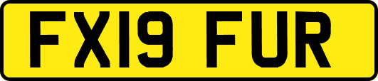 FX19FUR