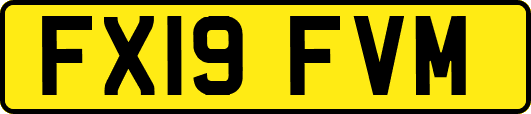 FX19FVM