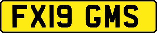 FX19GMS