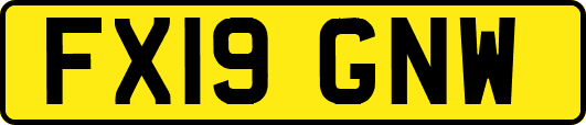 FX19GNW
