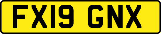 FX19GNX