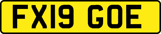 FX19GOE