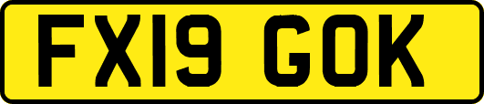 FX19GOK