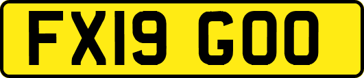 FX19GOO